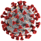 image of covid virus